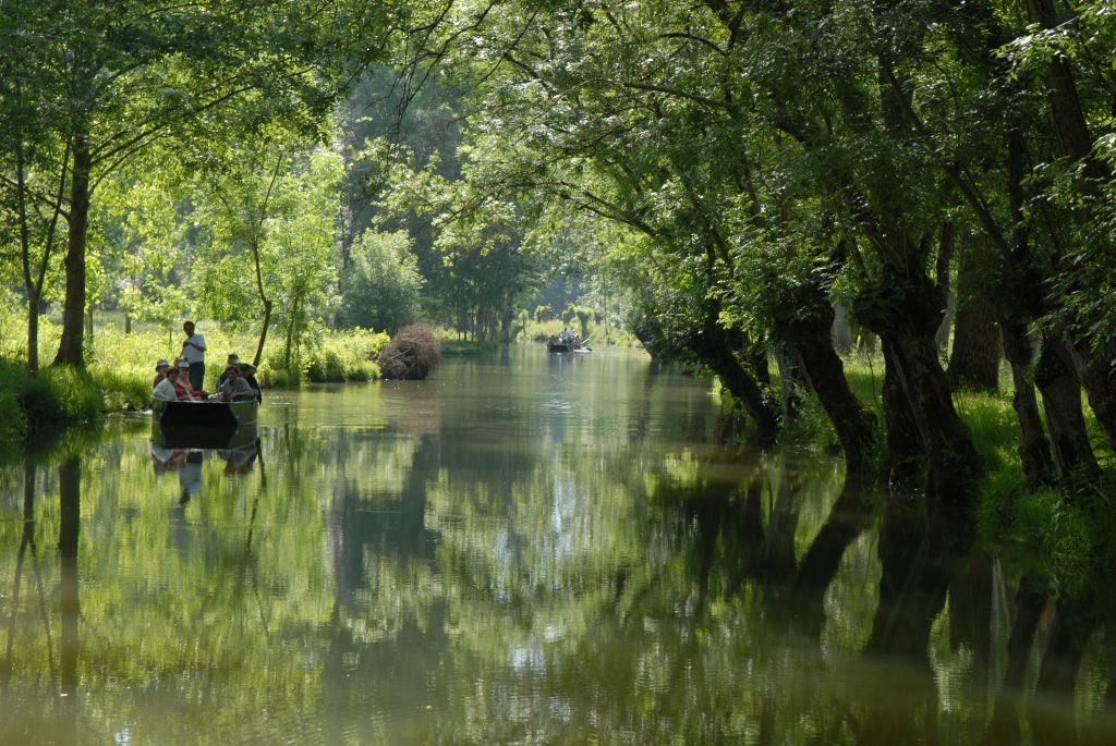 Copyright F.ROCH CRTNA Marais poitevin boat trip in the Venise Verte 11918