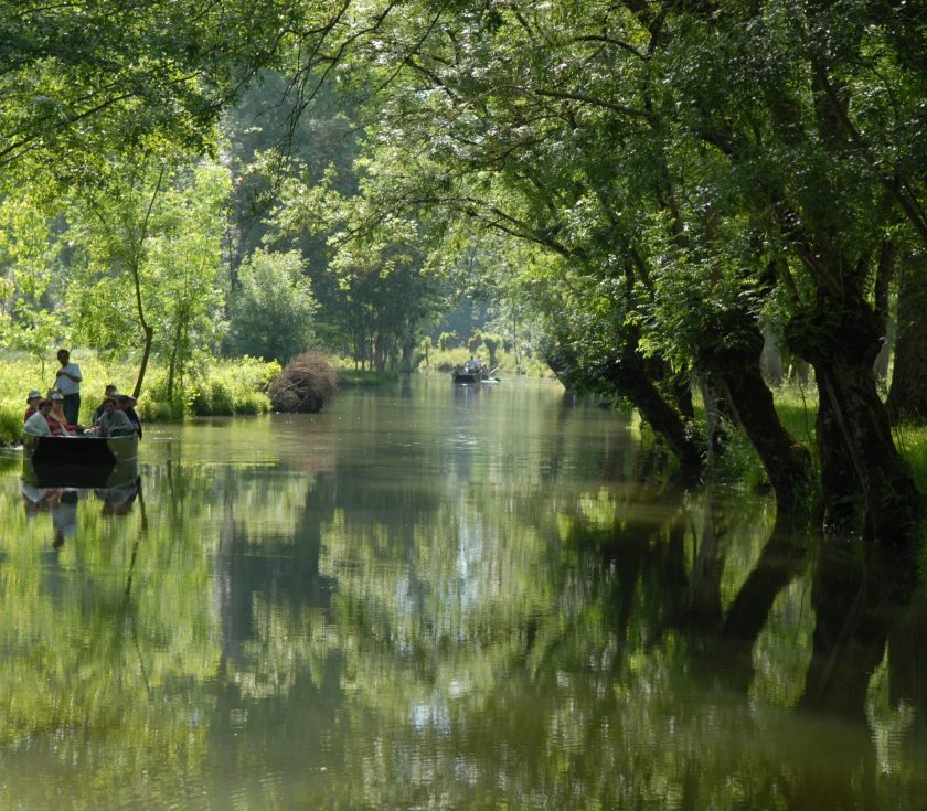 Marais mouillé. Barques