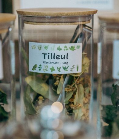 Le-Saint-Nicolas-La-Rochelle-Hotel-4-etoiles-Petit-dejeuner-Verger-Bio-Longèves