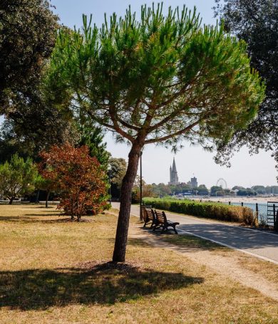 velo-la-rochelle-tourisme-agence-les-conteurs-143 velo-la-rochelle-tourisme-agence-les-conteurs-143