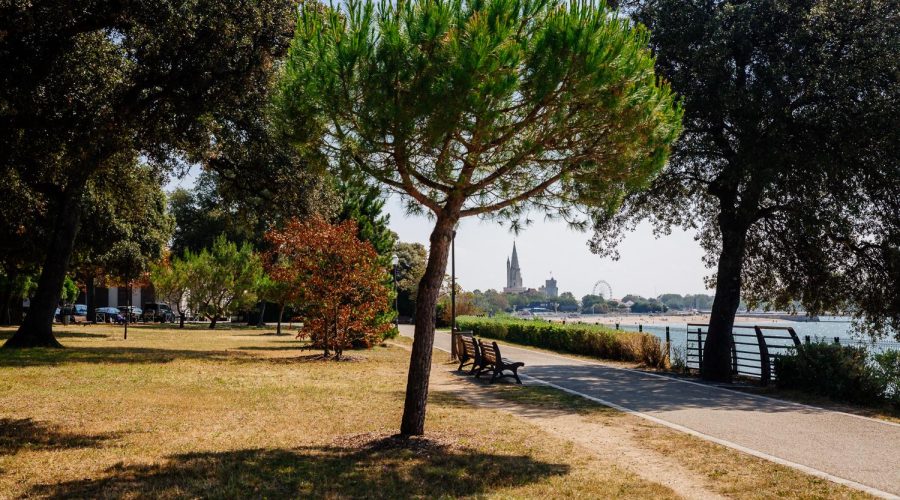 velo-la-rochelle-tourisme-agence-les-conteurs-143
